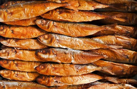 דגים מעושנים2